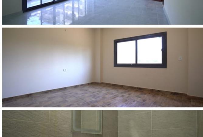 8401139 - صورة العقار 2