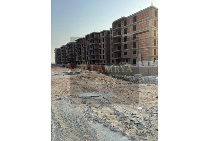 8126659 - Property Image 2