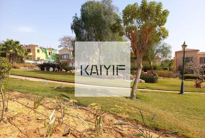 8429658 - Property Image 2