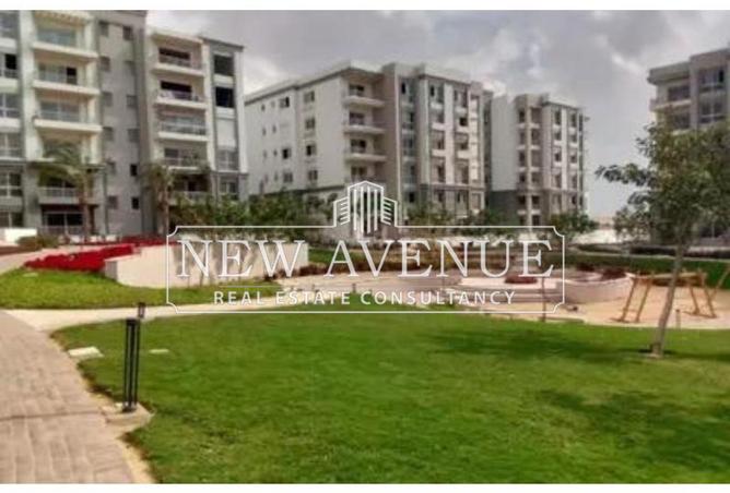 8374614 - Property Image 3