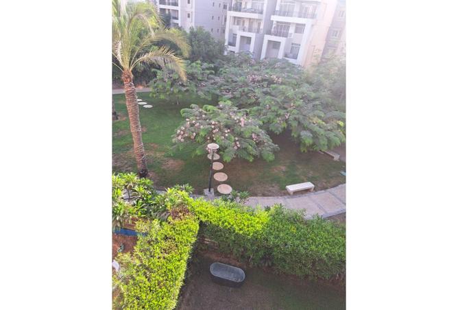 8261021 - صورة العقار 2