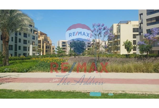 8303320 - صورة العقار 3