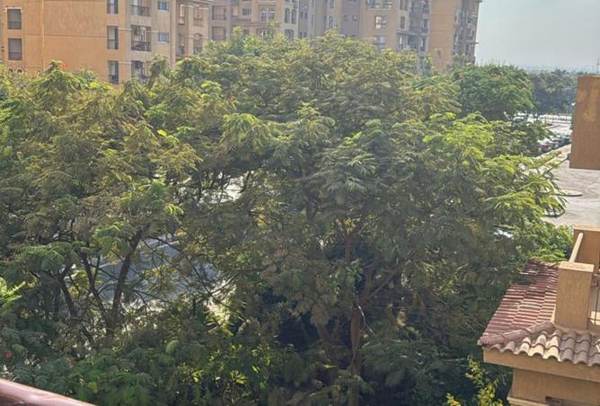 8511507 - الصورة الرئيسية للعقار