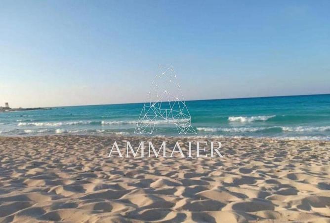 8202816 - Property Image 3