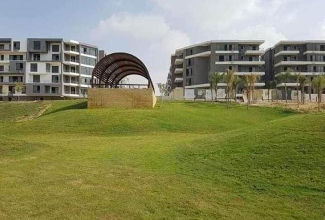 8124648 - Property Image 3