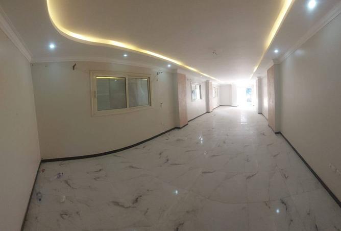 8310031 - Property Image 3