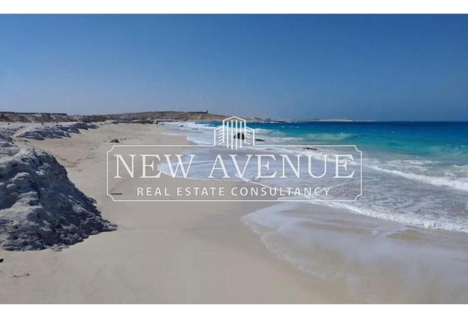 8307344 - صورة العقار 3