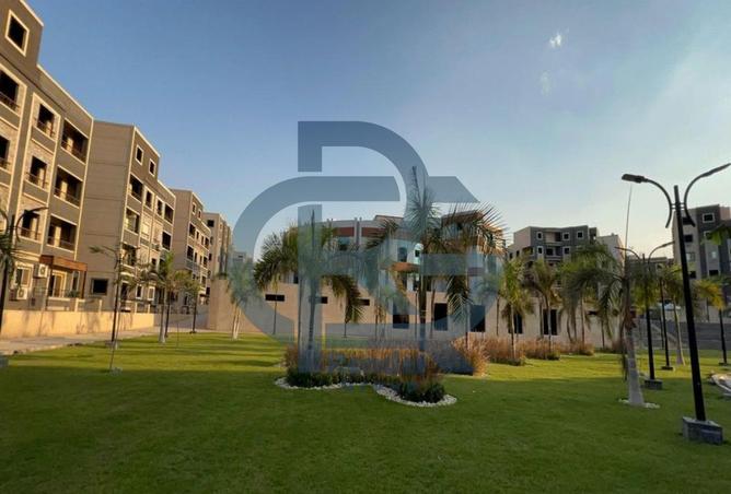 8337003 - Property Image 3