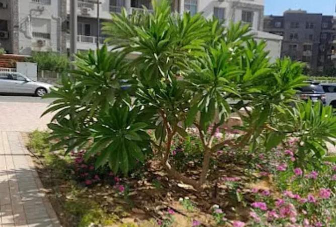 8265746 - Property Image 2