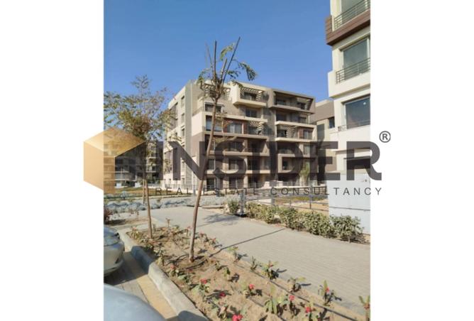 8156373 - Property Image 2