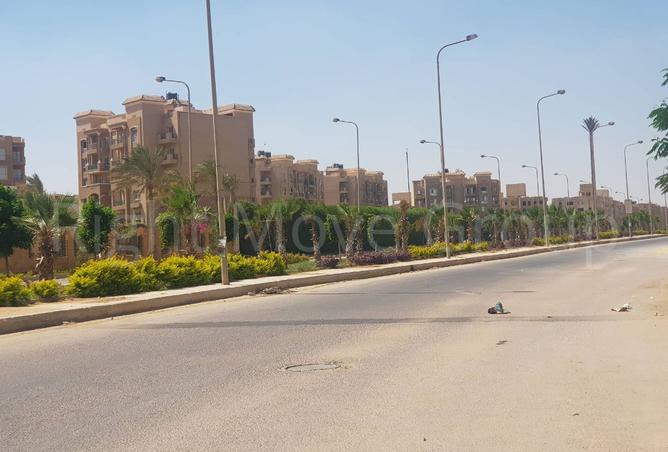 8167582 - Property Image 3