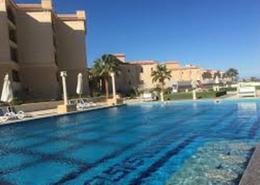 Studio - 1 حمام for للبيع in سلينا باي - منتجعات الغردقة - الغردقة - محافظة البحر الاحمر