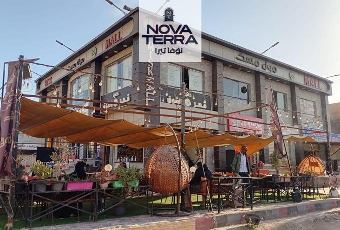 8387195 - Property Image 2