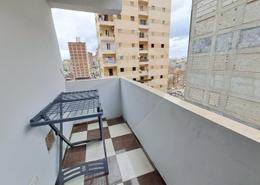 Apartment - 3 bedrooms - 1 bathroom for للبيع in Omar Al Mokhtar St. - Janaklees - Hay Sharq - Alexandria