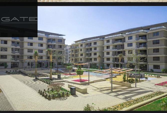 8136733 - Property Image 3