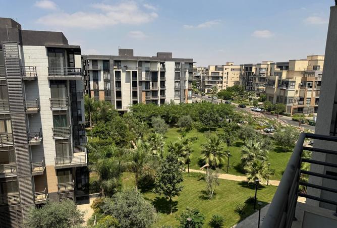 7909919 - Property Image 3