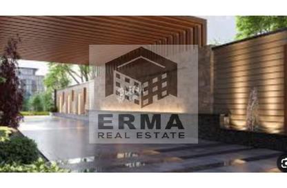 Retail - Studio - 1 Bathroom for sale in Degla Square - Degla - Hay El Maadi - Cairo