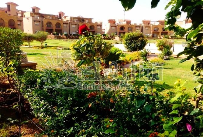 8173918 - صورة العقار 3