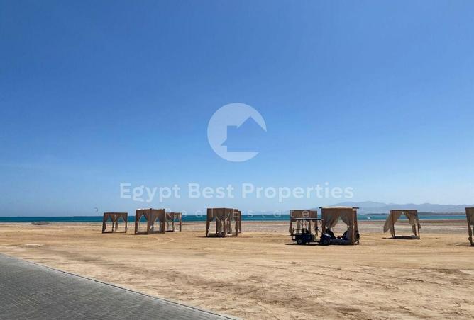 8057942 - Property Image 3