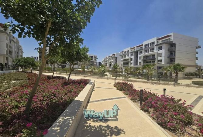 8413498 - Property Image 2