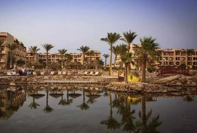 8136142 - صورة العقار 3