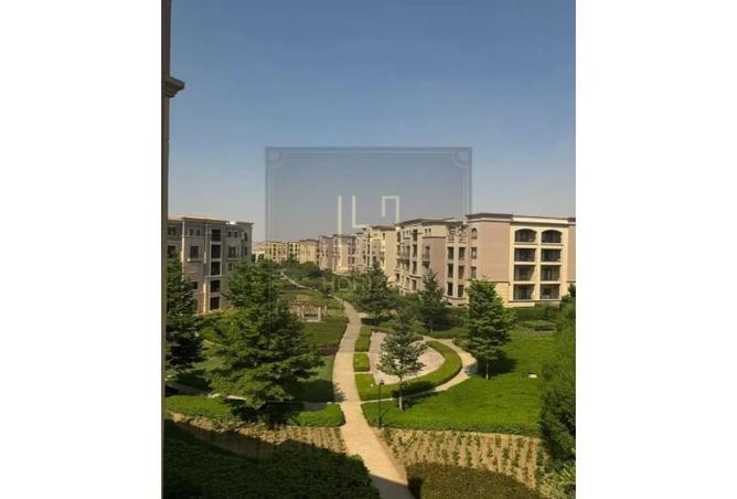 8374905 - الصورة الرئيسية للعقار