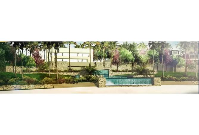 7986281 - صورة العقار 3