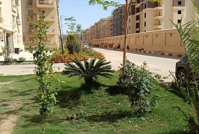 8361287 - صورة العقار 3