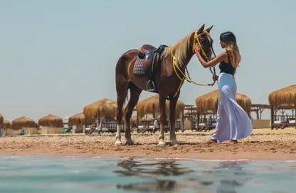 Chalet - 2 Bedrooms - 3 Bathrooms for sale in Ras Soma - Safaga - Hurghada - Red Sea