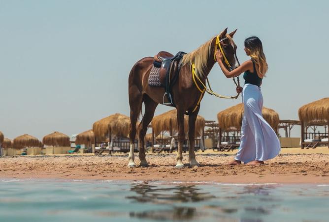 8271932 - صورة العقار 2