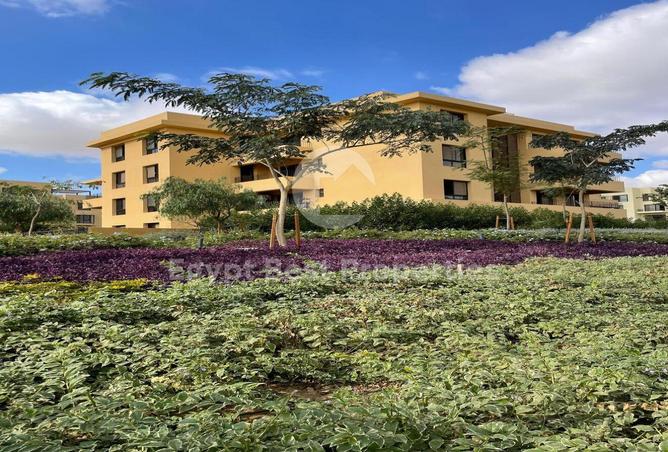 8395520 - Property Image 2