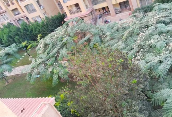 8336389 - Property Image 2