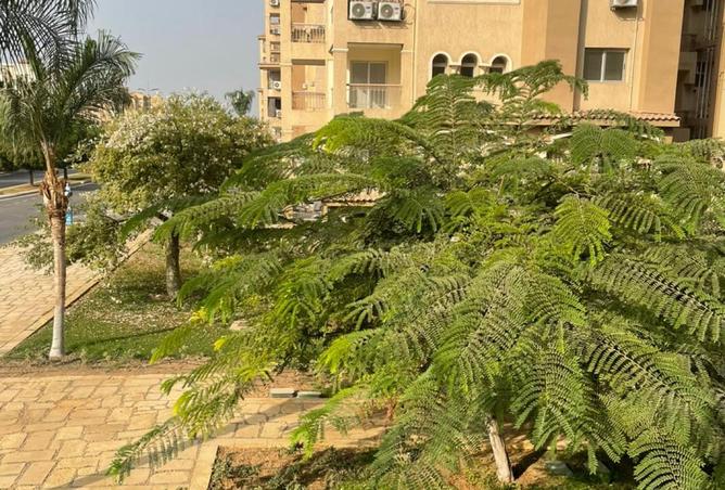 8187748 - Property Main Image