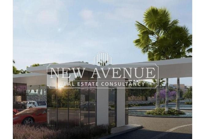 8256565 - Property Image 3