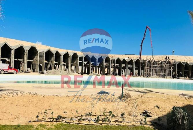 8247472 - صورة العقار 3