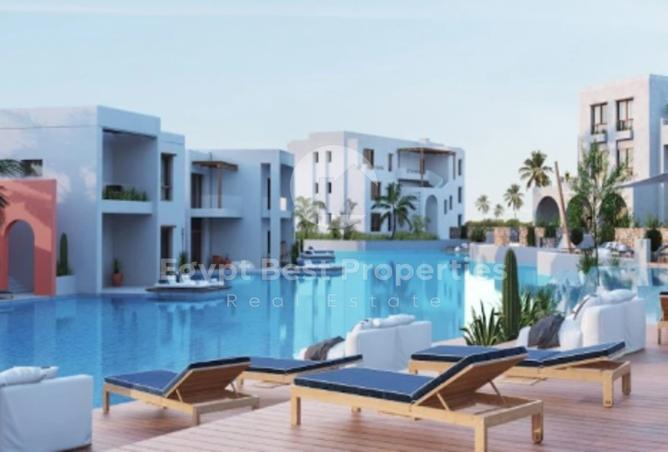 7982900 - Property Image 2