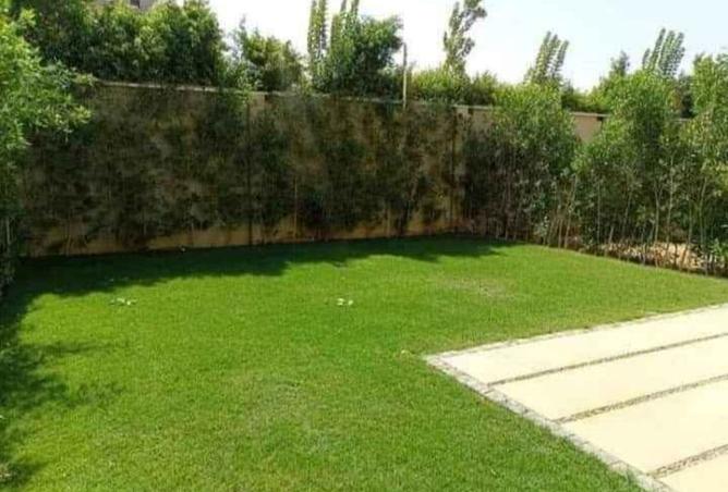 7907337 - Property Image 3
