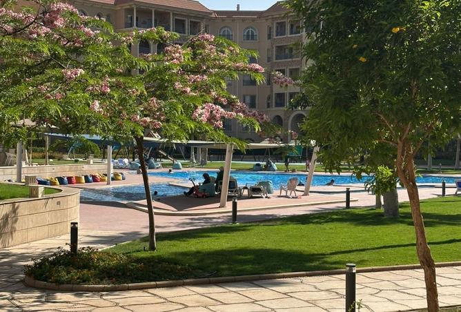 8198419 - صورة العقار 2