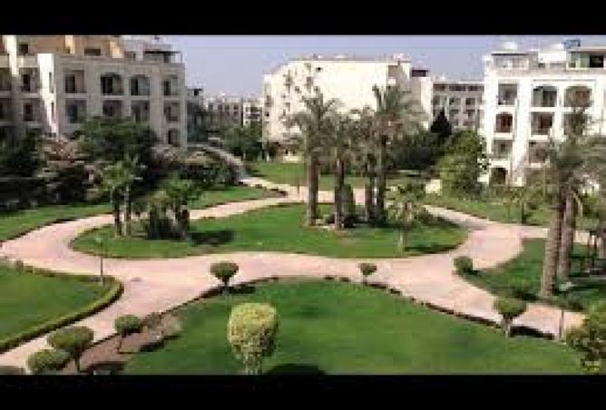 8177347 - صورة العقار 3