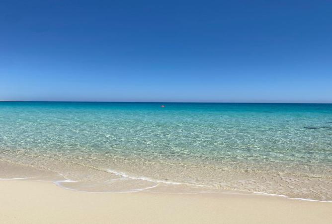 8392196 - صورة العقار 3