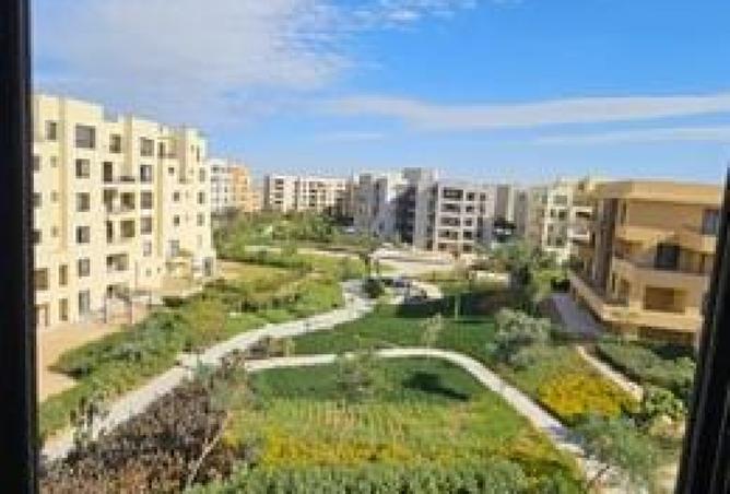 7941390 - صورة العقار 2