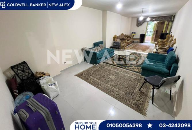 8081608 - Property Image 3