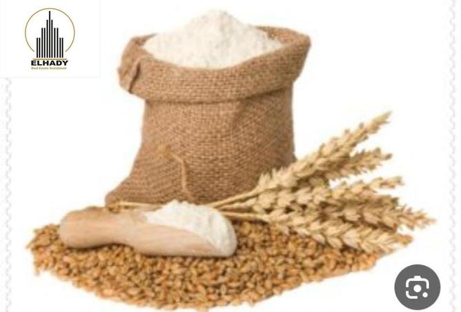 8334983 - Property Image 3