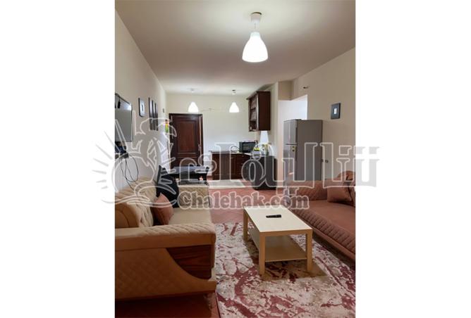 8084301 - Property Image 2