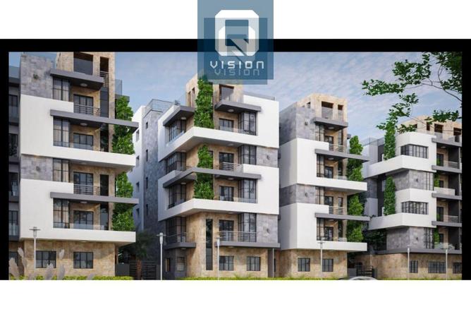 8008443 - Property Image 3