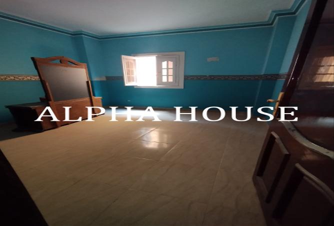 7923193 - Property Image 3