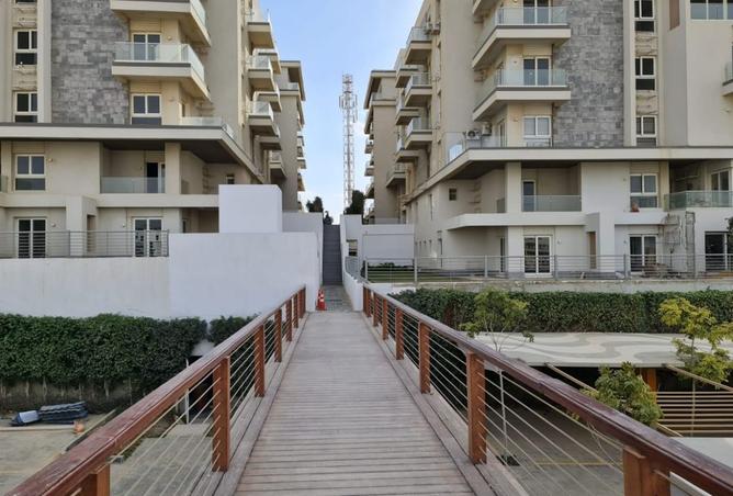 8050915 - Property Image 3