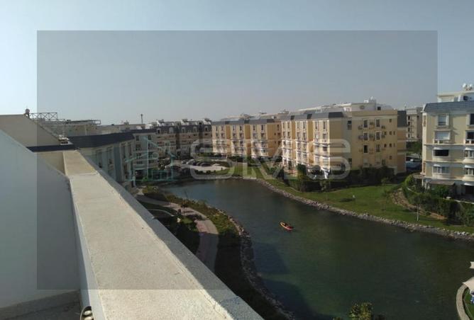 8165885 - Property Image 2