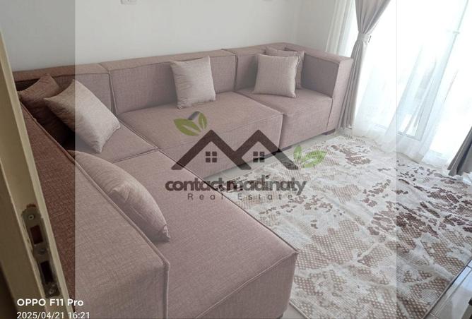 8037244 - Property Image 2