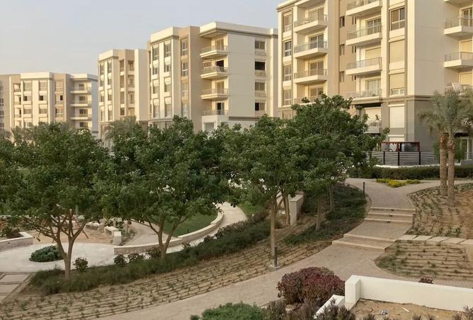 7955573 - صورة العقار 2